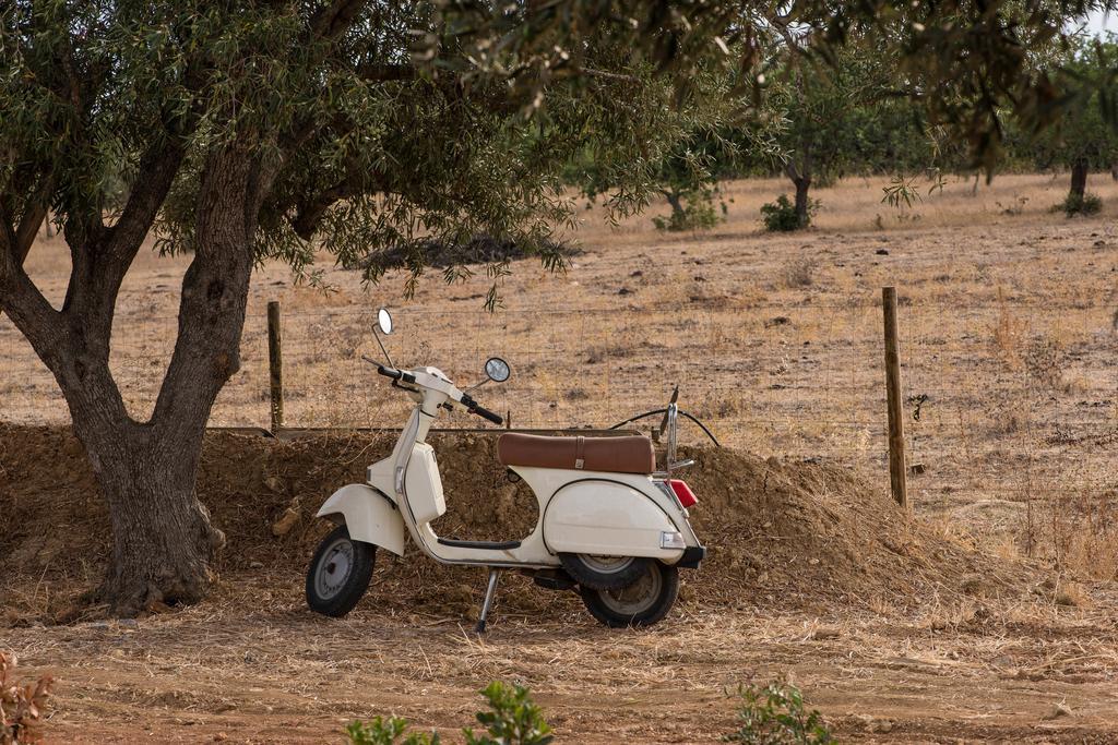 Pensao Agricola Pensionat Cabanas De Tavira Exteriör bild
