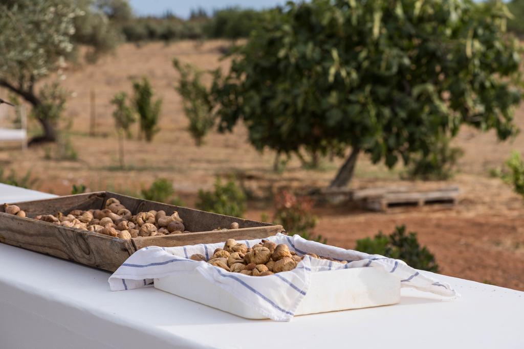 Pensao Agricola Pensionat Cabanas De Tavira Exteriör bild