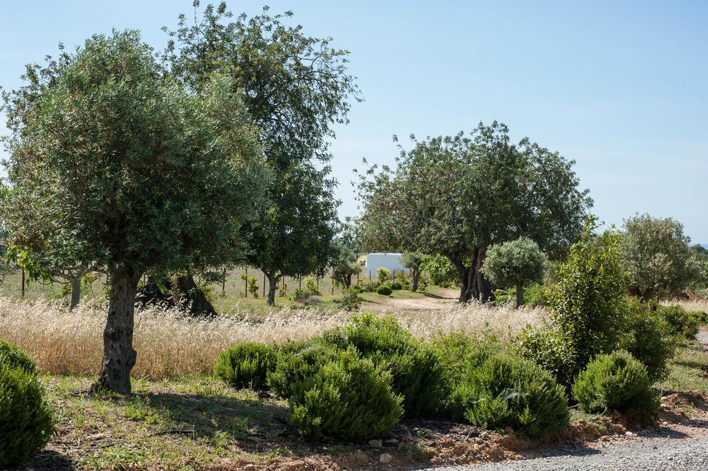 Pensao Agricola Pensionat Cabanas De Tavira Exteriör bild